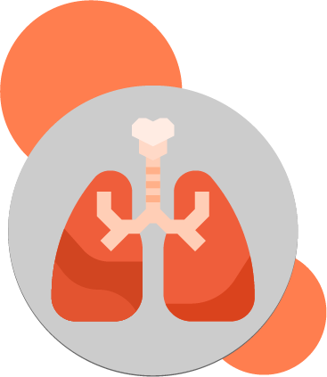 Illustration de poumons